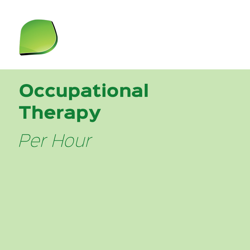 Oasis OT | Occupational Therapy (Per Hour)